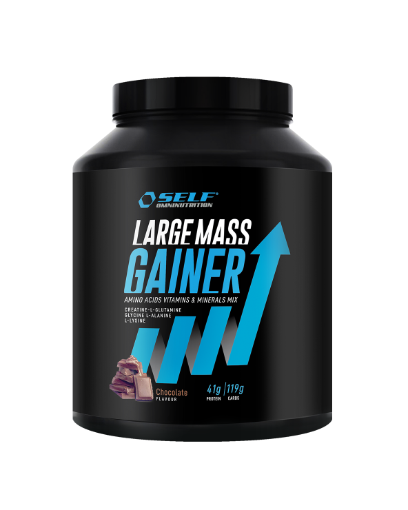 Self Large Mass Gainer 2Kg Cioccolato